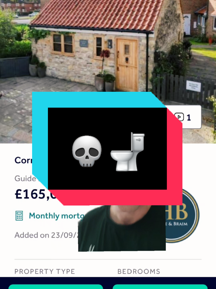 The spooky shitter #house #houseoftiktok #homedecor 