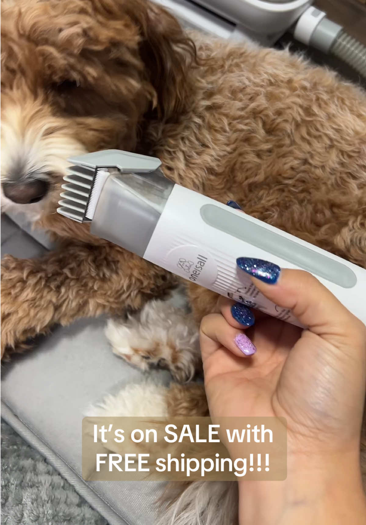 Go get it!!!! It’s amazing!!! #oneisall #groomathome #grooming #goldendoodle #goldendoodlesoftiktok #vacuum 