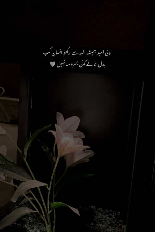 🤍🌚__’’|#Arthur #fypp #foruyou #forypupage #urdupoetry #urdushayari #sad #sadpoetry #sadshayari #dopalpoetry #asethetic #poetrystatus #1millionaudition #grow 