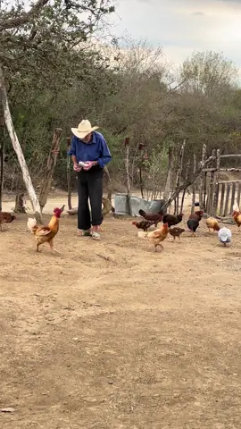 te amo mi viejito ❤️  #rancho #tamaulipas 