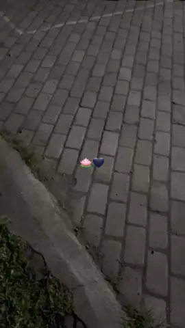 🪷 #fyp #pshtpusatmadiun #pshtnganjuk  #pshtpace #xybca #masukberanda #foryoupage 