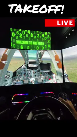#flightsimulator 