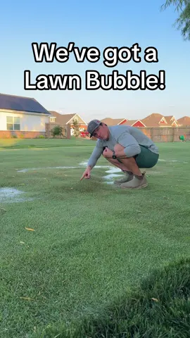Flatting out a lawn bubble #LawnRenovation