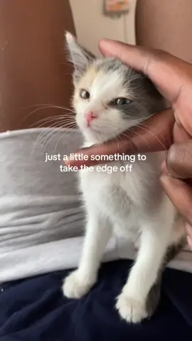 except shes the one stressing me out 🥲