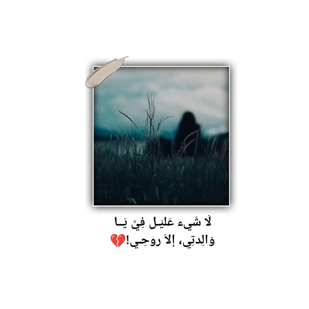 🥀🥀🥀🥀🥀