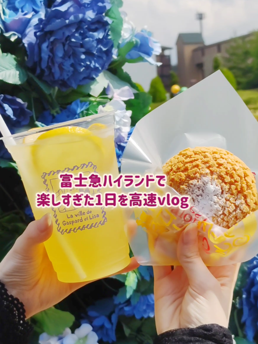 -`📢⋆ 最高の1日を富士急ハイランドで🗻🎢 某ウイルスで苦しんだ病み上がりに！ 山梨県へ高速バスで向かって、 富士急ハイランドで遊んできたよ🤍🥹 小学生の頃行ったっきりで超久しぶり！ あの頃の記憶よりも楽しかった(≧∇≦) 魅力感じる所がありすぎて 回りきれなくて困っちまった😩❤️‍🔥 まずはアトラクション 絶叫マシン大好きだぜ🤘(°∀°)🤘 ってわたしでも拷問級の絶叫レベル ええじゃないか、高飛車とかは 本当に重力がやばすぎて数日は体バキバキ😘 トンデミーナは空を飛ぶ鳥になった気分 まだ上がるんかっ！(白目)しか考えられない🍕 そして伝説の最恐お化け屋敷 戦慄迷宮も行ってきましたっっ！！ ホラー愛好者ワイにはたまらんでした👻 お化け役の方々、最高に驚かせてくれた❤︎ 内装の一つ一つが凝ってて素晴らしい空間。 まるでホラーゲームキャラになったよう。 . 富士急ハイランドはアトラクションだけじゃない！ グルメ店も豊富でゲームセンターもあったりと 施設自体がめちゃ充実していて 入園無料なので遊びに来るのに最高👍❤️‍🔥 1日遊び尽くせました🥹🥹🥹 家族や友達と最高の1日を過ごすのに◎ 平日はアトラクションも1時間も並ばないし 広々とした施設探索ができるので、 とても狙い目かもしれません✨ ぜひおすすめなので皆様行ってみてねー！！ ┈┈┈┈┈┈┈┈┈┈ @fujikyuhighland #PR #fujiq #ジェットコースター #富士山 #富士急 #富士急ハイランド #山梨旅行 #絶叫マシン #遊園地 #カラキャス #最高の思い出 #戦慄迷宮 #お出かけ 