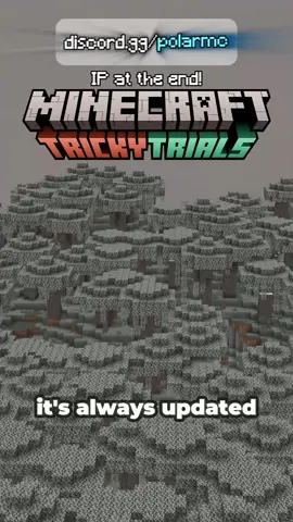 This server will REVIVE your 2 week Minecraft phase... #Minecraft #minecraftserver #mcserver #mc #smp #survivalminecraft #bedrock #minecraftmovie 