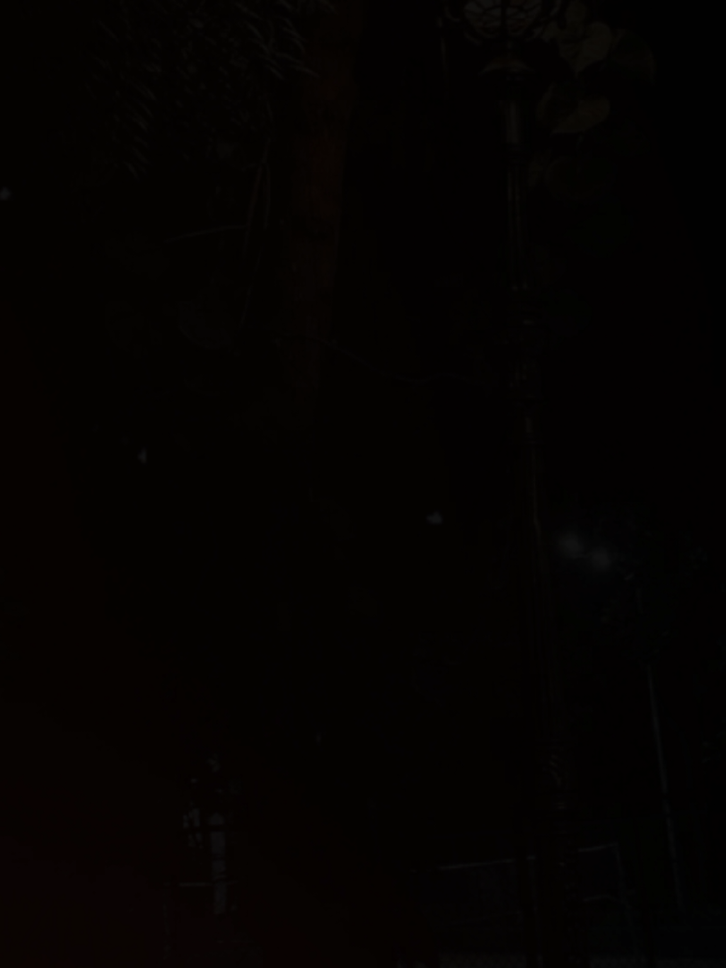 وبينا معاد لو احنا بعاد ❤️. #Amr_Diab #الهضبه 