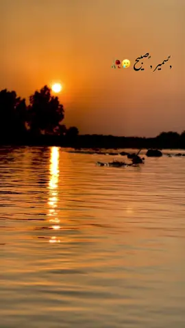 #عباره_للفيديو🙂💔 #عباراتكم_الفخمه📿📌 #عباره_جميلة🦋💙 #جواء_الشتاء #جواء_خيالية_مناظر_طبيعيه🥰😉❤ #تصويري_احترافي_الاجواء👌🏻🕊😴 #شعب_الصيني_ماله_حل😂😂 #تصميم_فيديوهات🎶🎤🎬 #تصويري 