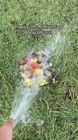 yes I did it again #foryoupage #tylerthecreator #peachfuzz #funny #song #fyp 