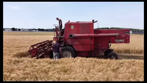 żniwa 2025#koszenie #łąka #oporowocałodobowo #polska🇵🇱 #zasieg #zasieginatiktoku #oprowocałodobowo #oporowocałodobowo😎❤️ #pola #bizon #zniwa @Agro_Kinia06 @Paweł2004 