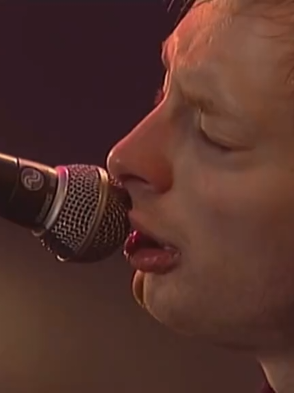 concert of agony and despair #radiohead #fakeplastictrees #music #thebends #thomyorke #pinkpop1996 #fyp 