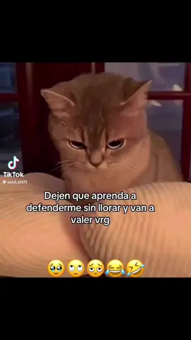 #fypシ゚viral #virall #fyoupage #susanherbalife #viralvideo #foryou 🥹😂