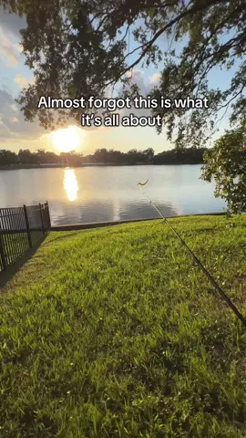 Life goes on. 