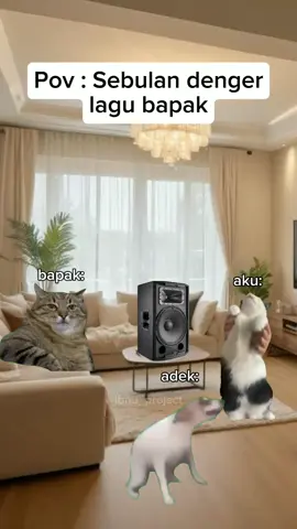 Lama lama candu euyy💃#memekucinglucu #foryoupage #memekucing #masukbranda #fypage #masukberandafyp #bissmillahfyp #catmeme #fyp #fypシ゚viral #fyppppppppppppppppppppppp 