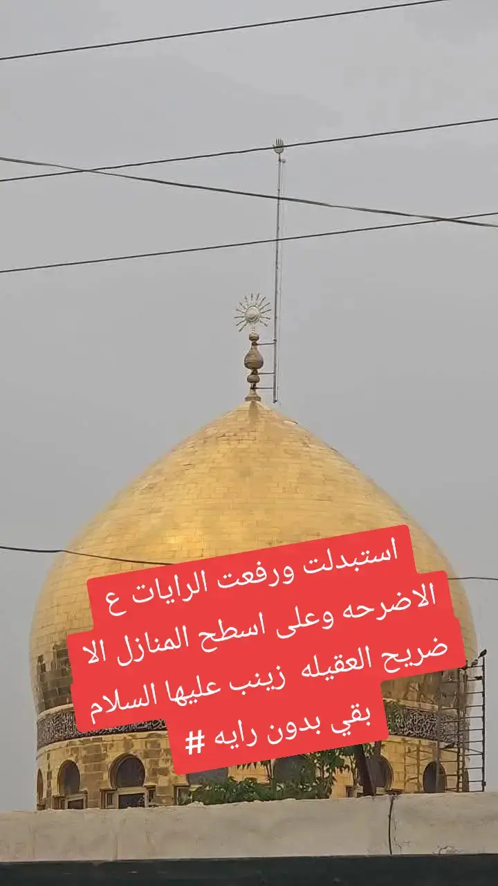 #حكام_العرب_كفاr #شيعه_الامام_علي_عليه_السلام #مجالس #شور_حتى_الظهور #العتبه_العباسيه_المقدسه 