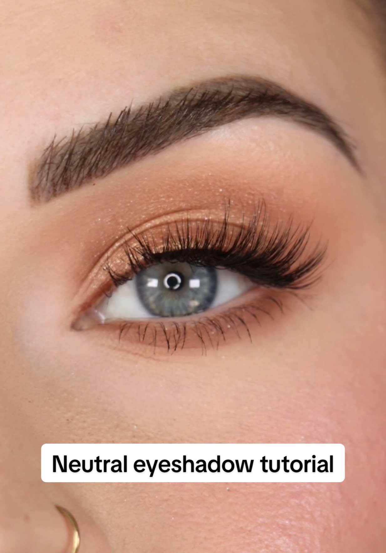 The most perfect neutral eyeshadow palette 😍 #sigmabeauty #eyeshadowpalette #neutraleyeshadow #eyeshadowtutorial 