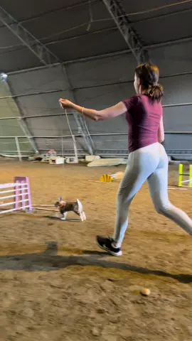 #kaninhopping #sprettkaninklubb #rabbitjumping #bunny 