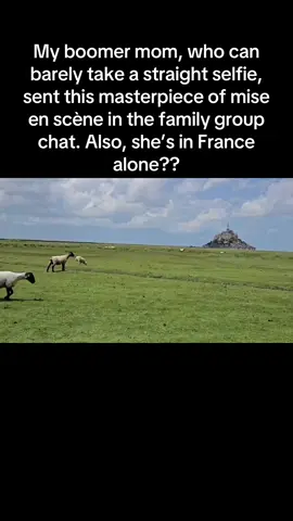 Mont Saint Michel… very wholesome cinematography  #fyp #montsaintmichel #france #normandy #sheep #boomermom