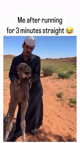 #Fitness #health #memes #Running #breathing #lol #fyp #repost #nature #animals #cardio #fit #Summer #camel