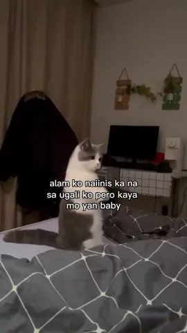 hihi #relateable #foryoupagee #chipmukse_09 #fyppppppppppppppppppppppp 