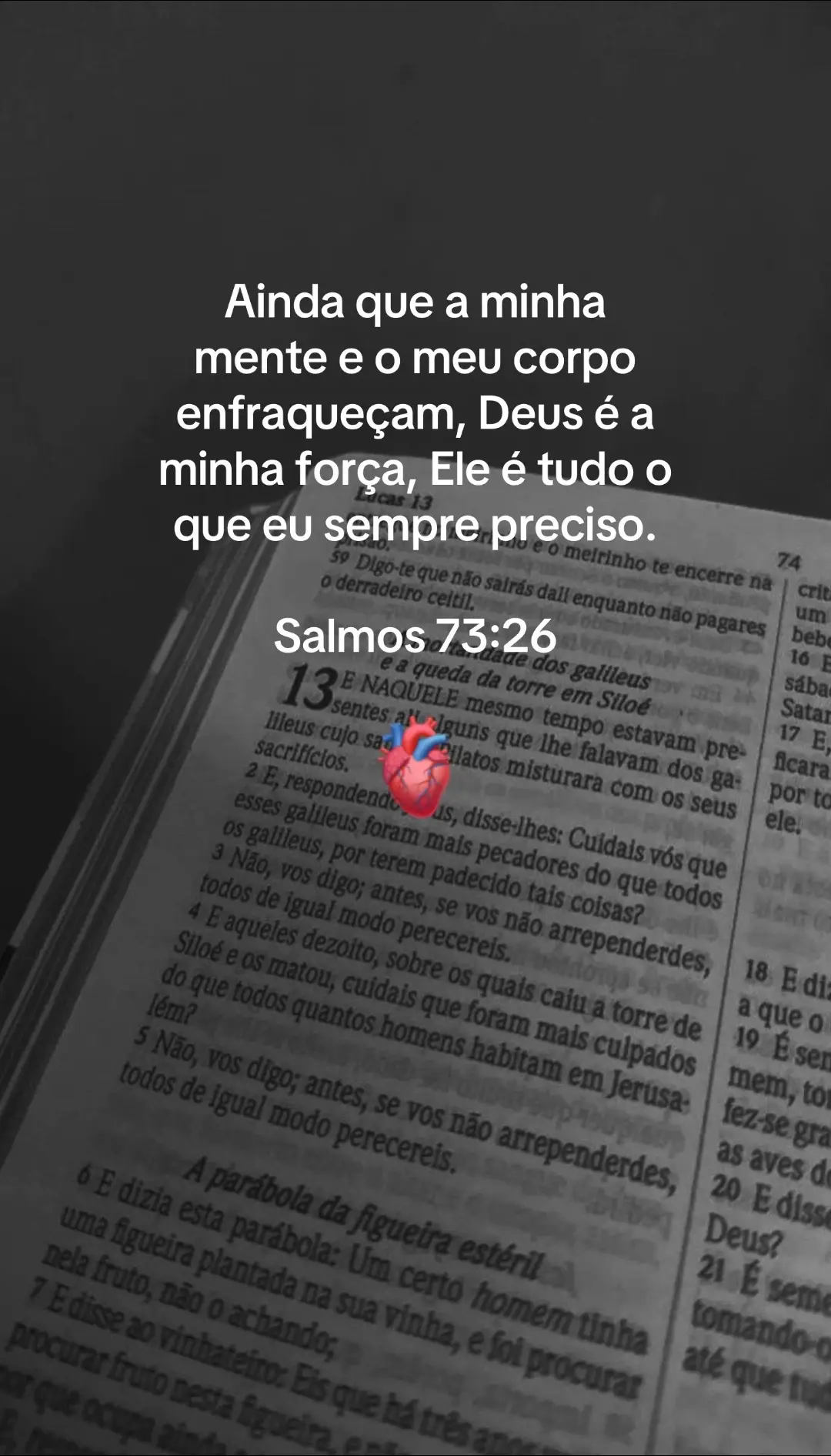 Te amo Jesus!❤️ #cristao #jesus #evangelho #palavradedeus #conselhos #reflexao #versiculosbiblicos 