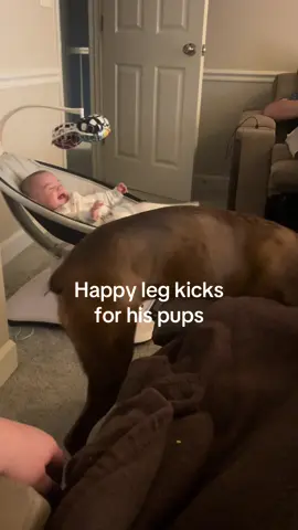 He just loves his puppy dogs so much #boxerdog #dogtok #cutebaby #puppy #babylaugh #fyp #happybaby #cutedog #dogandbaby 