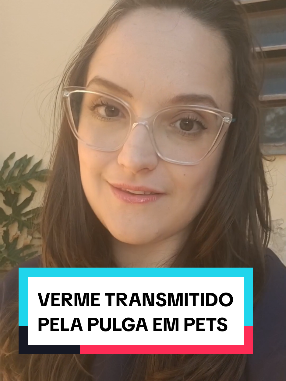 🚨 Pulgas: o perigo invisível que pode transformar seu pet em lar de um verme gigante! Você sabia que seu pet pode estar correndo risco sem você perceber?  A pulga transmite um parasita chamado Dipylidium caninum, que vive no intestino do seu melhor amigo e causa muita coceira e desconforto ✅ Mas a boa notícia: a prevenção é simples! Controle de pulgas, vermifugação em dia e consultas veterinárias regulares fazem toda a diferença. 🏡 E se você quiser um cuidado mais humanizado e tranquilo, o atendimento veterinário domiciliar é a solução!          ❤️ Salve este post, compartilhe para proteger mais pets e siga para mais dicas!   #pulgas #prevenção #pets #vetemcasa #dipylidiumcaninum 