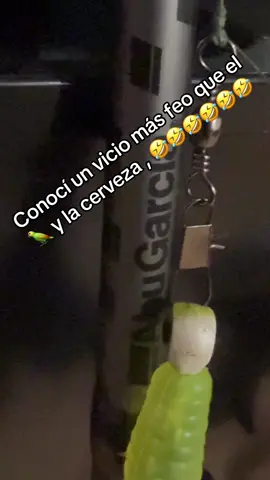 #humor #lewesfish #shimano #abugarciafishing @Abu Garcia @Shimano Fishing #pesca #🤤🤤🤤🤤 