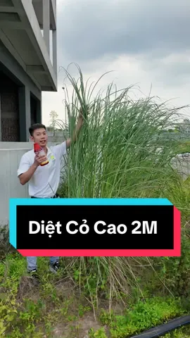 Diệt Cỏ Lưu Dẫn Thiên Lôi. An toàn cho cây trồng và người phun.