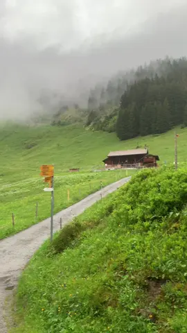 #سويسرا🇨🇭 
