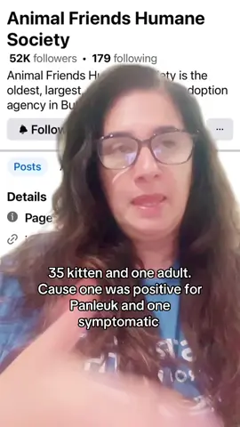 #greenscreen I am beyond disgusted!! How is this even allowed 😡#fyppp #kittylover #donoharm #disgusting #poorkittens #makesmesick #justice #help #share #comment #rescue 