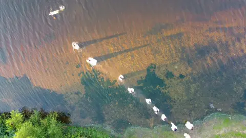 Wait to see the shadows!!  Another raw shot from @mks dance film.  #fyp #dancefilm #dance #video #videography #dji #dji #drone 