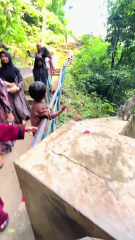 Berbagi kebahagiaan dgn para kera sakti😁. #gununggeger 
