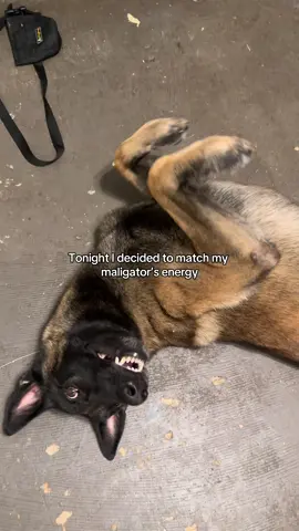 He’s DEFINITELY calmed down since Mexico 💀