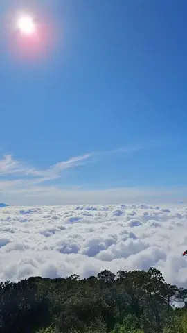 Cikuray, 26 juni 2025 . . #cikuray #cikuraymountain2821mdpl  #pendakigunung 