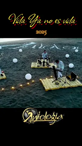 Vida Ya no es vida #antologia #2025 #musicaandina 