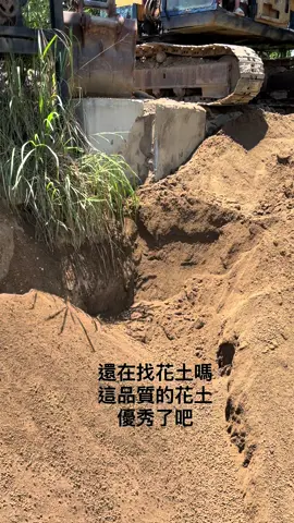 #園藝 #花土 #樹 #盆栽 