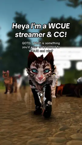 I'm curious ! Filmcrew in bio or add lucivv on discord n ask for the link :) #wcue #promomakanliburan #warriorcatsroblox #warriorcats #roblox #roleplay 