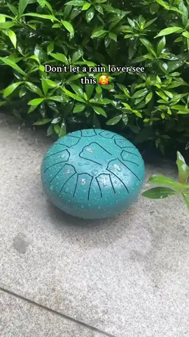 This awakens every rain addict 🥹🌧️#garden#rain#instrument#nature 