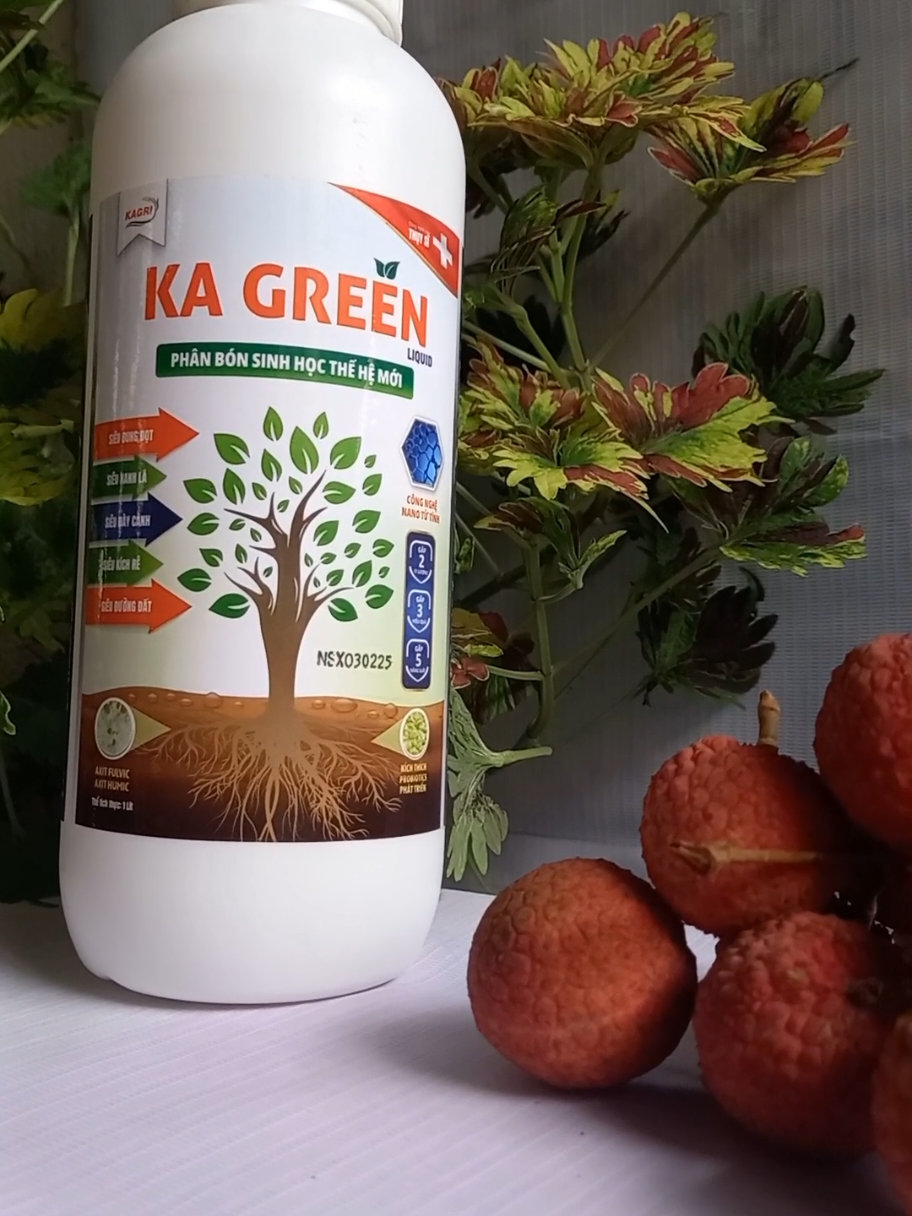 KAGREEN LIQUID PHÂN BÓN SINH HỌC #thanhnhamthan92 #kagreentronbogiaiphap #kagreen #kagreenphanbonsinhhoc #mua3tang1 #mua5tang2 #phanbon #phânbón #phanbondanggel #phanbonsinhhoc #sieubungdot #sieudaycanh #sieuxanhla #sieuduongdat #sieukichre #nutthanximu #bo #humic #fulvic #trungviluong #damca #sale #saledauthang #salengaydoi #salegiuathang #salecuoithang #saleluongve #1415giuathang #2425luongve #luongve #muataitiktokshop #thuhaifreeship #thu4chinhhang #thusaunuagia #salevuichinhhang #salevuifreeship #nongdan #lamvuon #phanboncaysaurieng #phanbonsaurieng #phanboncaphe #phanboncayanqua #phanboncaylua 