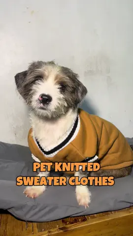 Pet Clothes Dog Cat Sweater Campus Style V-neck Striped Vest Breathable College Style Dog Clothes #petclothes #petstyle #petsweater @TAIL PET SHOP 