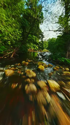 Along the wharfe 🌊 #fpv #drone #fpvlife #nature #scenery #landscape #river #yorkshire #dji #gopro 