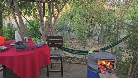 Cocinando carne #al comal #comida de rancho 
