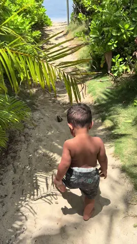 Almost forgot this was the whole point🥺🩵🏝️ #fyp #hawaii #dayinmylife #boymom #vacation 