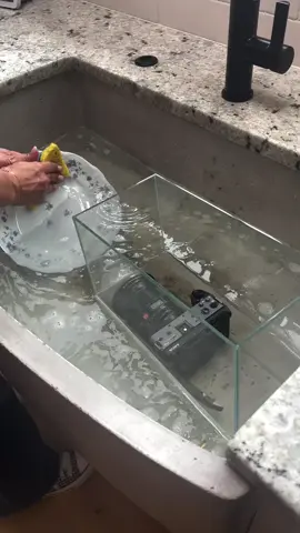 Fish tank sales after this video: 📈📈📈 Rate this shot from 0-10 😍 By @marcusgram.dp (Instagram) SAVE AND SHARE ❤️ ・・・・・・・・・・ Follow 👉 @movieeffectsvfx for more 👍 —————————————— #makingofmovies #cinema #movies #makingof #camera #behindthescenes #cinematography #cgi #movieeffectsvfx #vfx #cinemacamera #filmmaking #foryou #foryoupage #fyp #duet #viralvideos #trending #comedy #funnyvideos #tiktokchallenge 