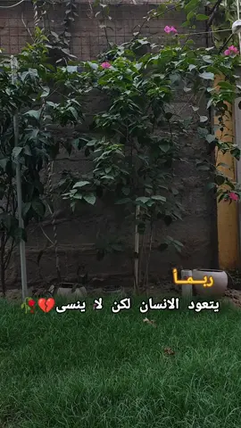 ....💔🖤🚶‍♂️????