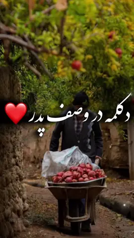 نیست مردی در جهان مردانه‌تر از تو پدر ❤️❤️ ۰ ۰ #valynazary #مادر #berlinlebt #پدر #عشق #عشق_حقیقی #عشقي #berliner #عشقی 