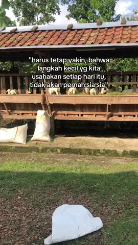 ✊#mutiaraf4rm #tren #peternakmuda #domba #pembisnismuda #perintisbukanpewaris #foryoupage #xybca 