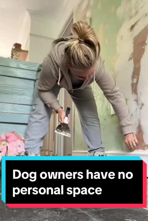 Dog owners have no personal space #dogsoftiktok #funnyvideo #funnydog #fyp #pet 